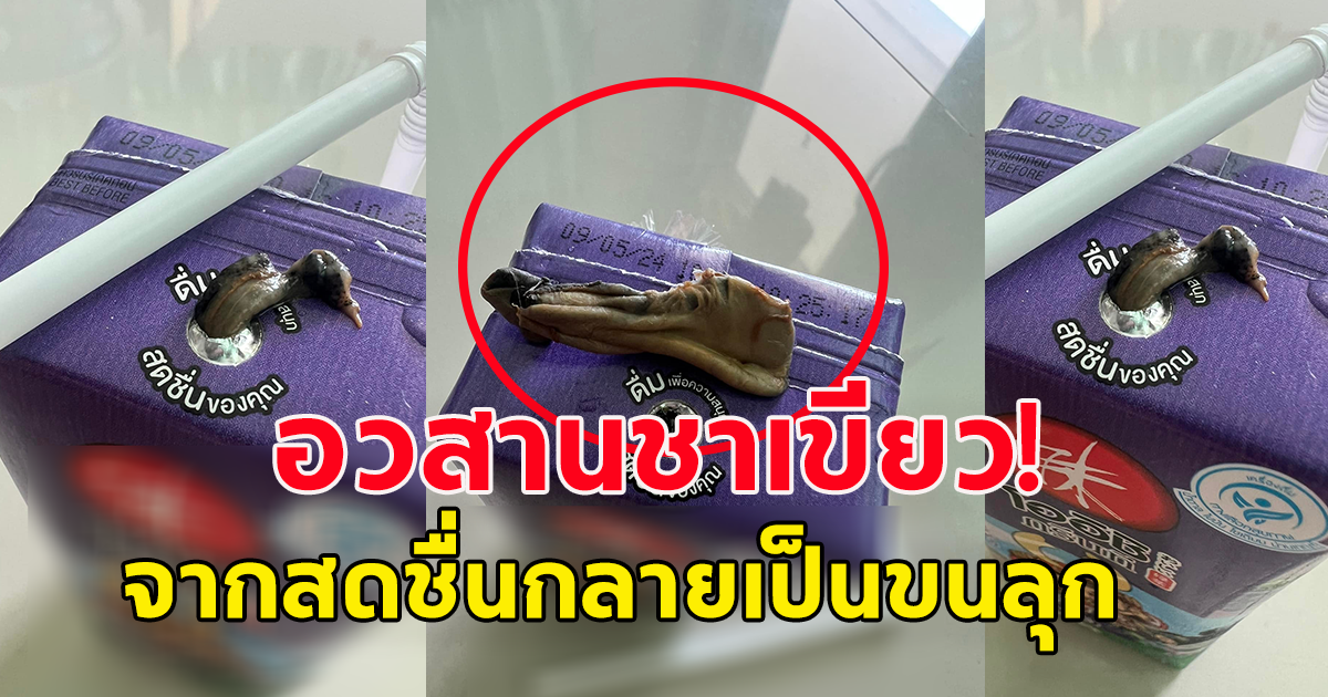 หนุ่มซื้อชาเขียวยี่ห้อดัง กะดื่มให้สดชื่น