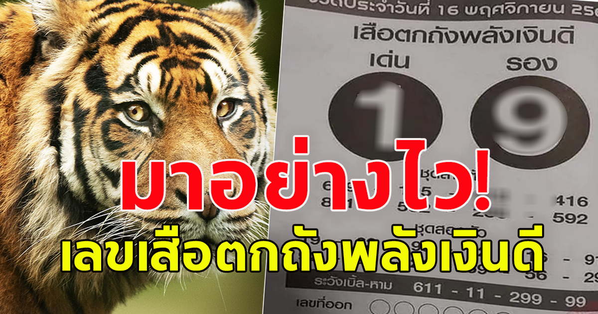 รีบไปซื้อเลย เลขเสือตกถังพลังเงินดี งวด 16 พฤศจิกายน 2566