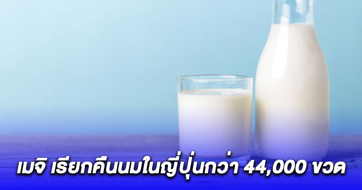 เมจิ เรียกคืนนมกว่า 44,000 ขวด ในญี่ปุ่น หลังพบปนเปื้อนยาต้านโรคในวัว