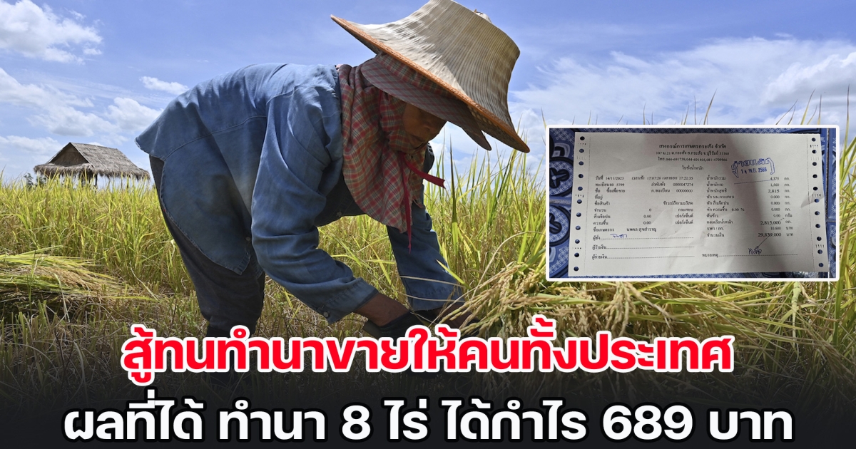 ชาวนาไทยท้อ สู้ทนทำนาขายให้คนทั้งประเทศ ผลตอบแทน ทำนา 8 ไร่ ได้กำไร 689 บาท