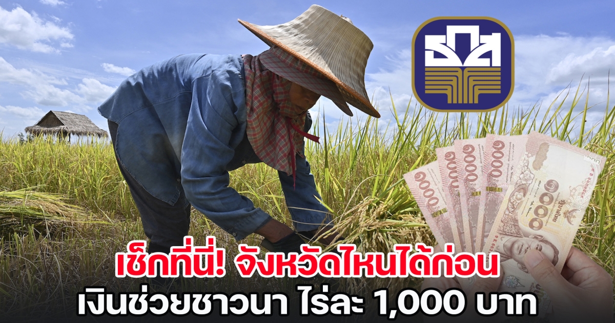 เช็กที่นี่! จังหวัดไหนได้ก่อน เปิดปฏิทิน โอนเงินช่วยชาวนา ไร่ละ 1,000 บาท