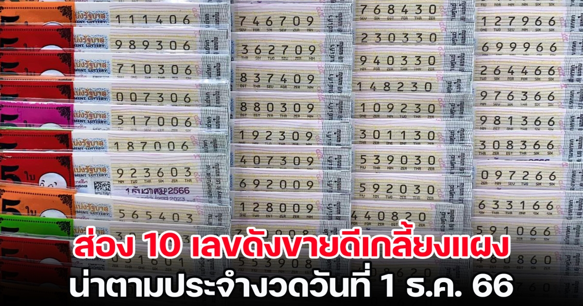 ส่อง 10 เลขดังขายดีเกลี้ยงแผง น่าตามประจำงวดวันที่ 1 ธ.ค. 66