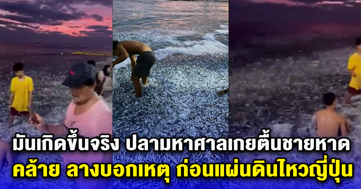 มันเกิดขึ้นจริง ปลามหาศาลเกยตื้นชายหาดฟิลิปปินส์ คล้าย ลางบอกเหตุ ก่อนแผ่นดินไหวญี่ปุ่น