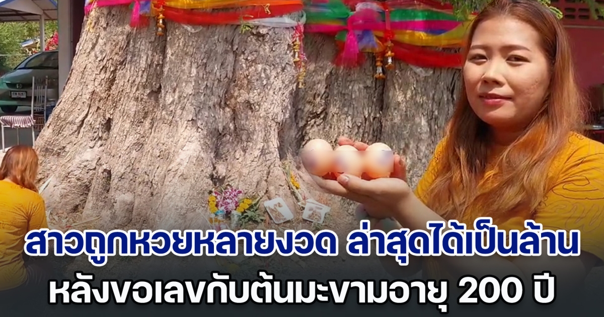 สาวถูกหวยหลายงวด ล่าสุดรวยเป็นล้าน หลังขอเลขกับต้นมะขามอายุ 200 ปี มางวดนี้ได้เลขตรงกับฝัน