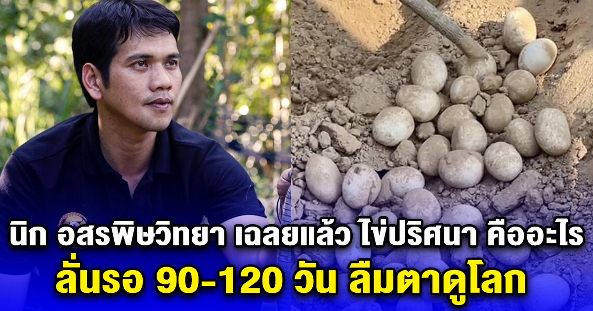 นิก อสรพิษวิทยา เฉลยแล้ว ไข่ปริศนา คืออะไร ลั่นรอ 90-120 วัน ลืมตาดูโลก