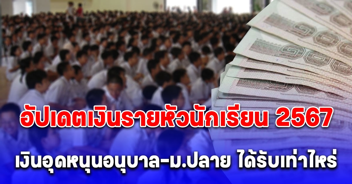 อัปเดตเงินรายหัวนักเรียน 2567 แต่ละระดับการศึกษาได้รับกี่บาท