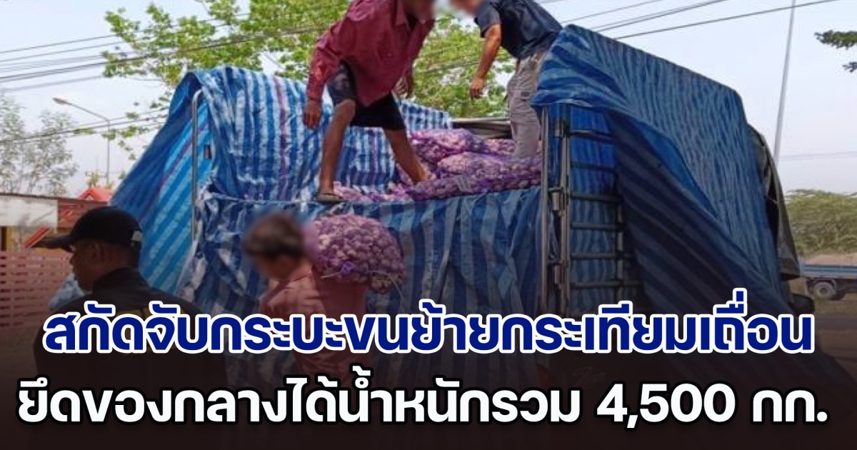 สกัดจับกระบะขนย้ายกระเทียมเถื่อน ยึดของกลางได้น้ำหนักรวม 4,500 กิโลกรัม