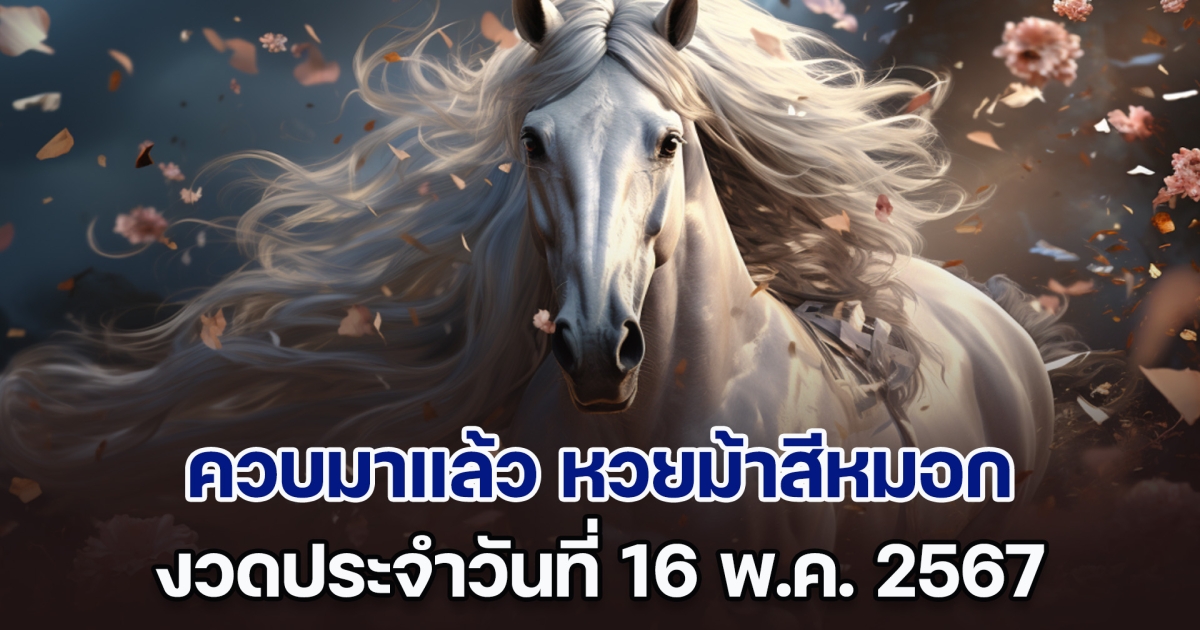 ควบมาแล้ว หวยม้าสีหมอก งวดวันที่ 16 พ.ค. 67 หลังให้โชคมาแล้ว 2 งวดติด