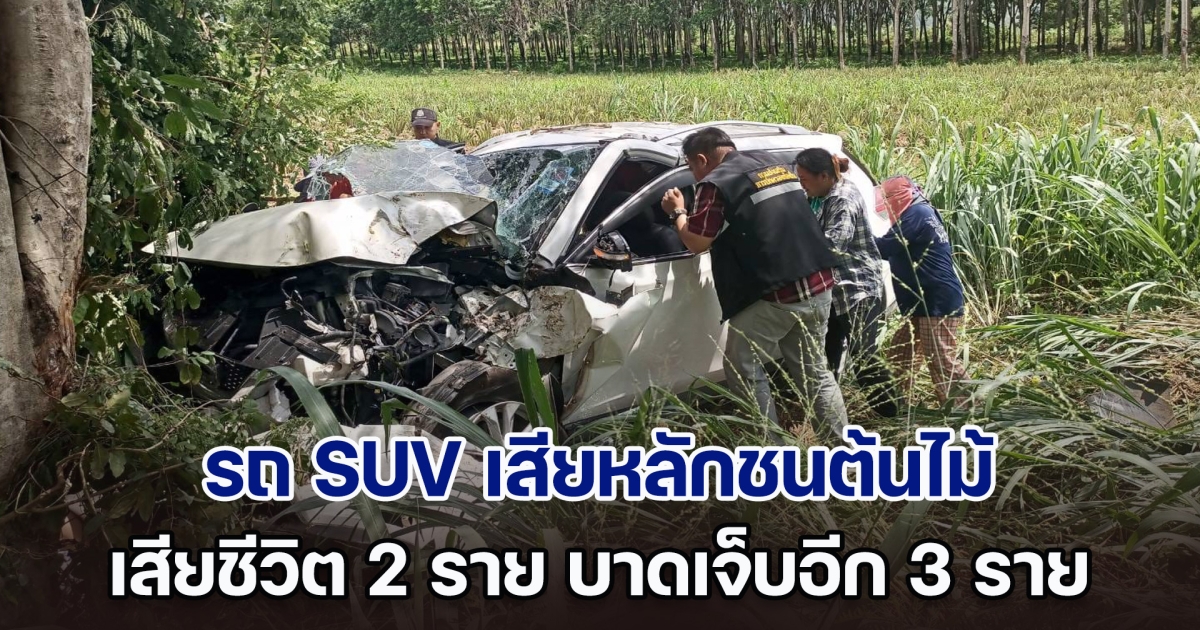 สลด! รถ SUV เสียหลักชนต้นไม้ เสียชีวิต 2 ราย บาดเจ็บอีก 3 ราย