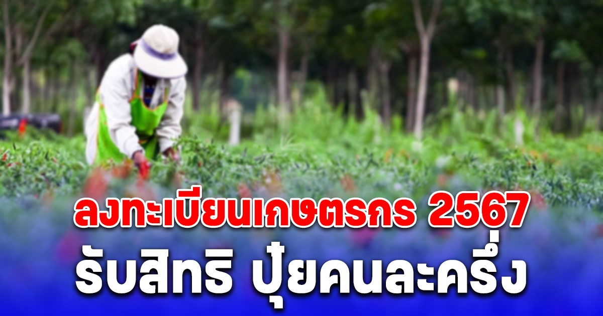 ลงทะเบียนเกษตรกร 2567 เช็กเงื่อนไข รับสิทธิ ปุ๋ยคนละครึ่ง