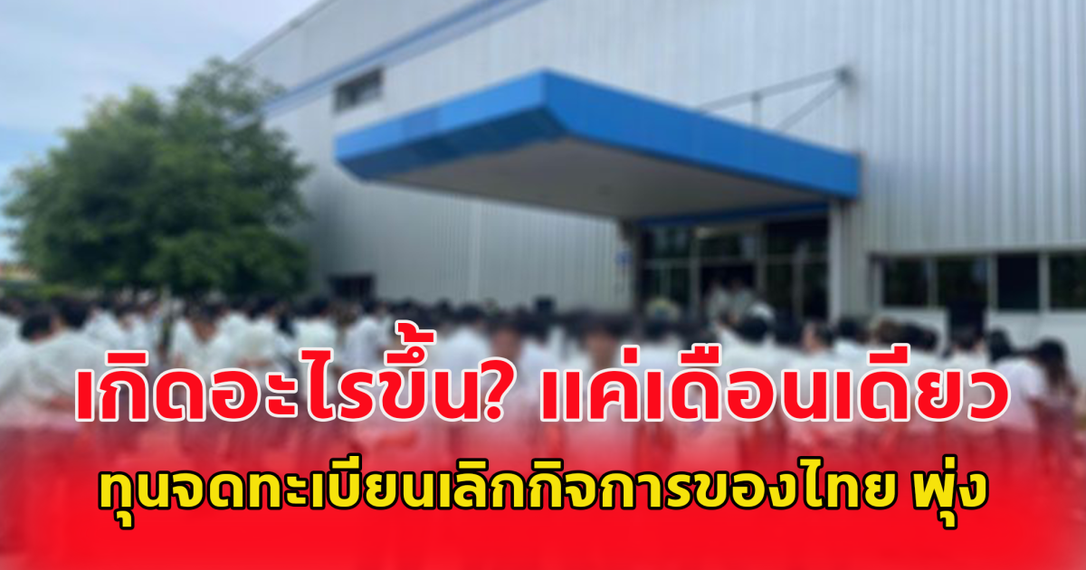 ทุนจดทะเบียนเลิกกิจการของไทย พุ่ง 5.4 หมื่นล้าน เพิ่มขึ้น 975% สวนทางธุรกิจ Art Toy