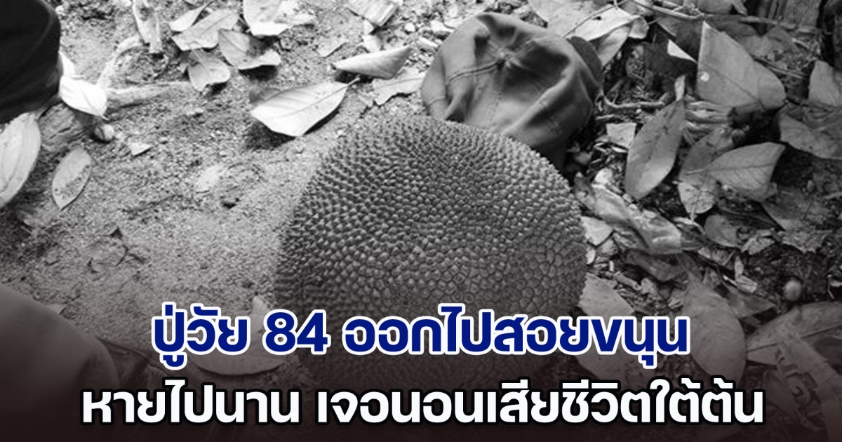 สลด! ปู่วัย 84 ออกไปสอยขนุน หายไปนาน ออกตามหา เจอนอนเสียชีวิตใต้ต้น