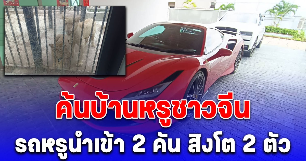 สืบภาค 2 ค้นบ้านหรูชาวจีน พบรถหรูนำเข้า 2 คัน สิงโต 2 ตัว