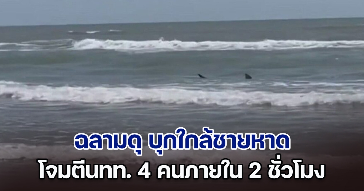 สยองรับวันชาติสหรัฐฯ ฉลามดุ บุกใกล้หาด โจมตีนักท่องเที่ยว 4 คนภายใน 2 ชั่วโมง จนท.เตือนด่วน อย่าเข้าใกล้