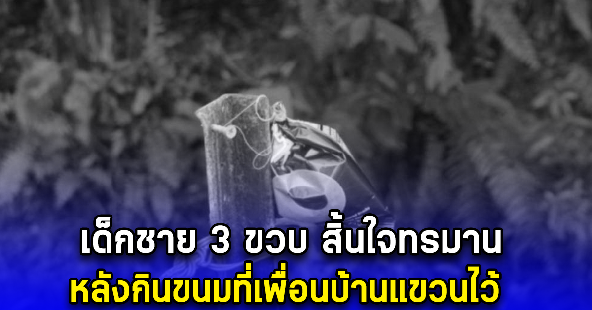 เด็กชาย 3 ขวบ สิ้นใจทรมาน หลังกินขนมที่เพื่อนบ้านแขวนไว้ (ตปท.)