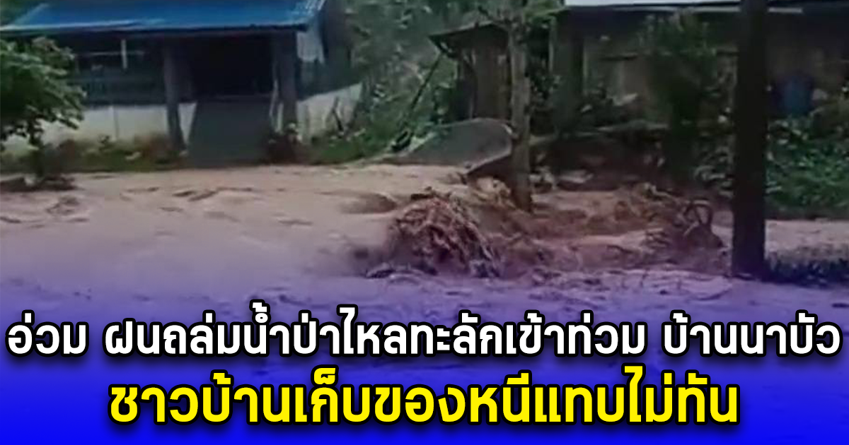 อ่วม ฝนถล่มน้ำป่าไหลทะลักเข้าท่วม บ้านนาบัว ชาวบ้านเก็บของหนีแทบไม่ทัน