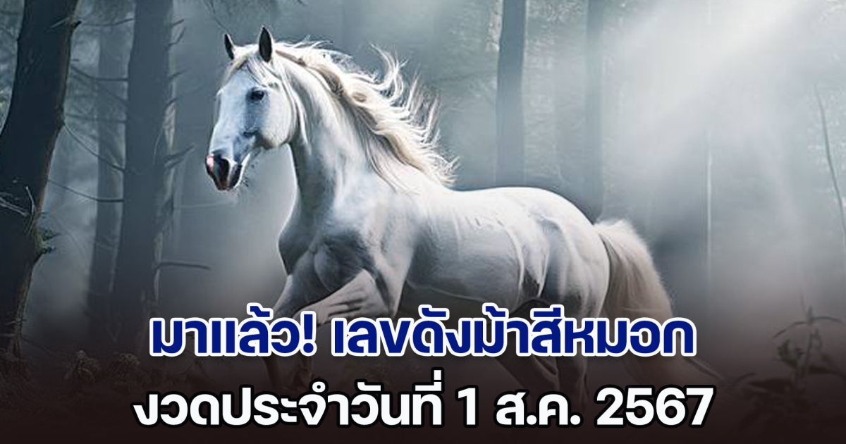 ควบมาไวมาก เลขดังม้าสีหมอก งวดวันที่ 1 ส.ค. 67