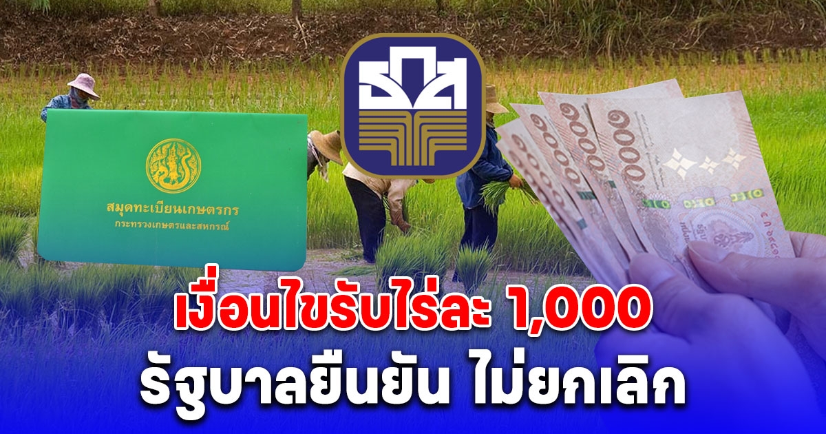 รัฐบาลยืนยัน ไม่ยกเลิก เงื่อนไขรับไร่ละ 1,000 พร้อมช่วยเช่นเดิม