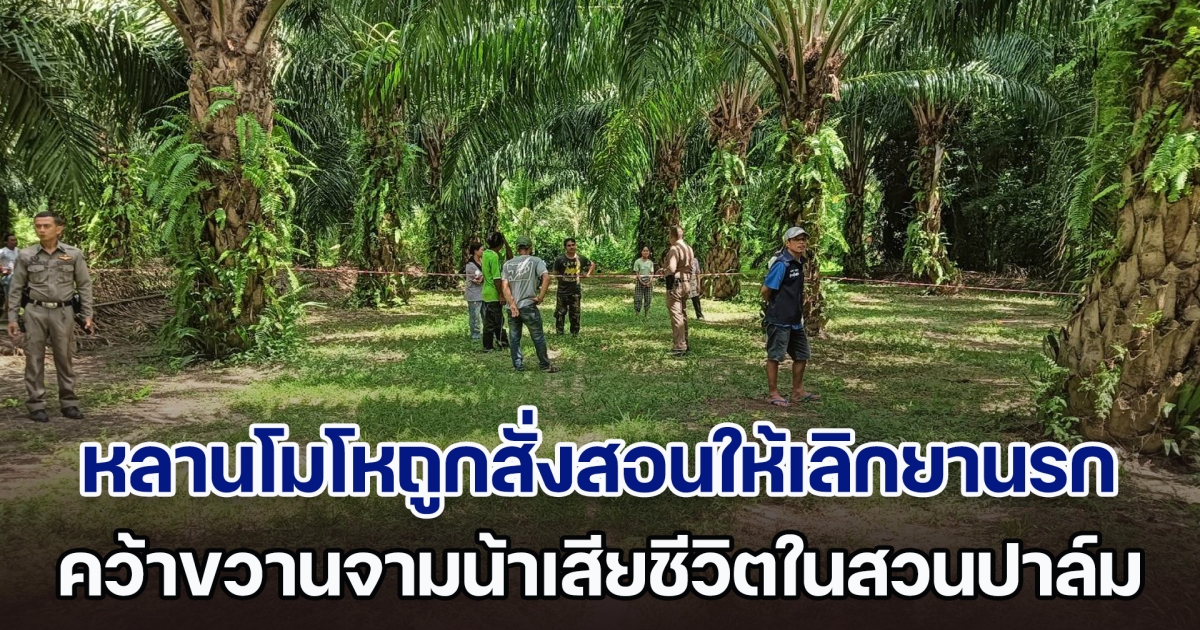 สลด! หลานโมโหถูกสั่งสอนให้เลิกยานรก คว้าขวานจามน้าเสียชีวิตในสวนปาล์ม