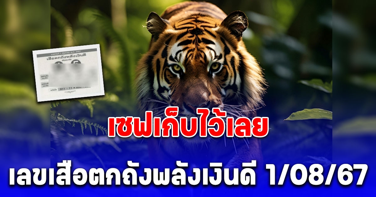 เซฟเก็บไว้เลย แนวทางจาก เสือตกถังพลังเงินดี งวด 1 สิงหาคม 67