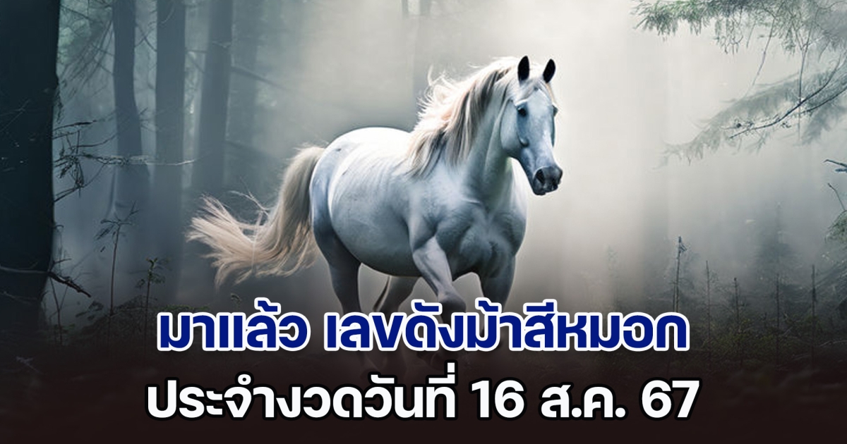 ควบมาไวมาก เลขดังม้าสีหมอก งวดวันที่ 16 ส.ค. 67