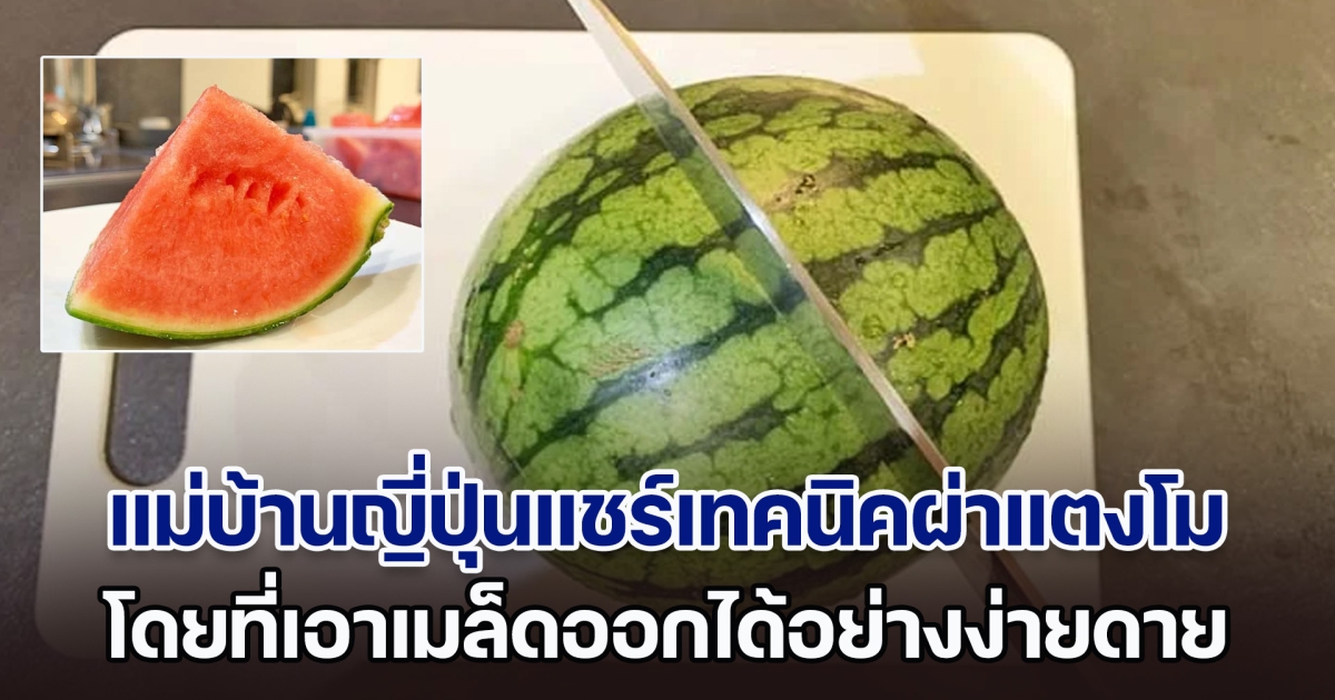 จีเนียส! แม่บ้านญี่ปุ่นแชร์เทคนิคผ่าแตงโมขั้นเทพ โดยที่เอาเมล็ดออกได้อย่างง่ายดาย