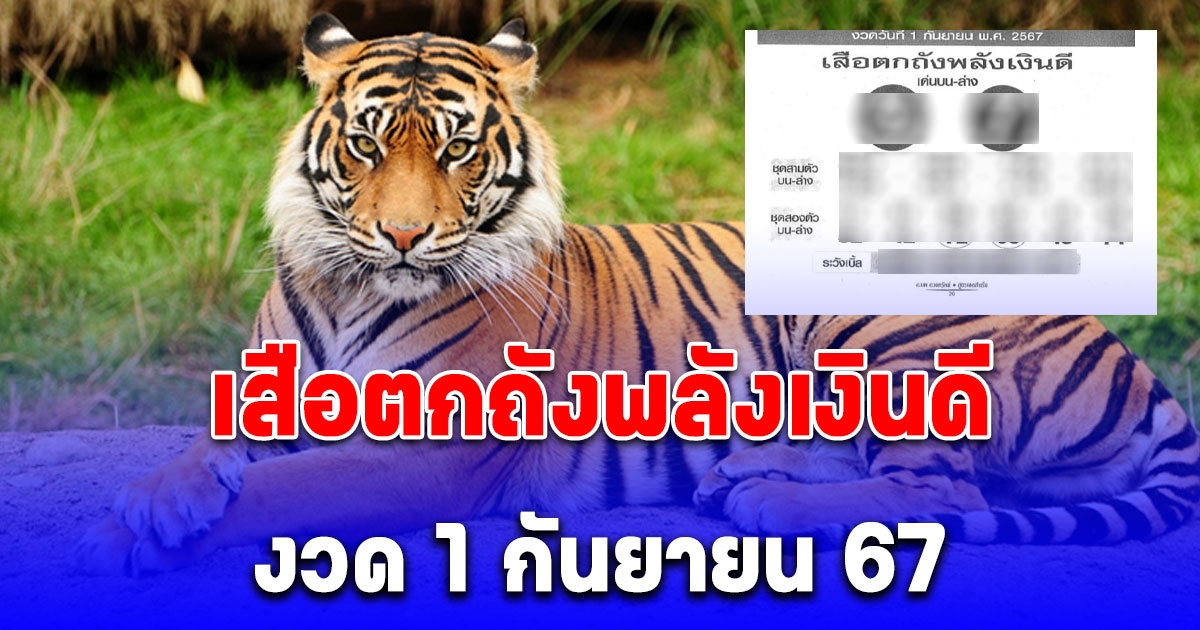 เซฟเก็บไว้เลย แนวทางจาก เสือตกถังพลังเงินดี งวด 1 กันยายน 67