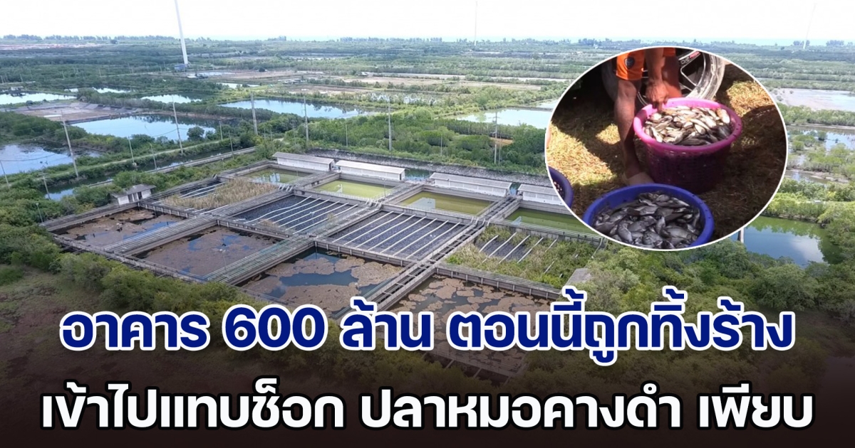 อึ้งหนัก! อาคาร 600 ล้าน ตอนนี้ถูกทิ้งร้างไม่ทราบสาเหตุ เข้าไปแทบช็อก นี่มันสวรรค์ของ ปลาหมอคางดำ ชัดๆ