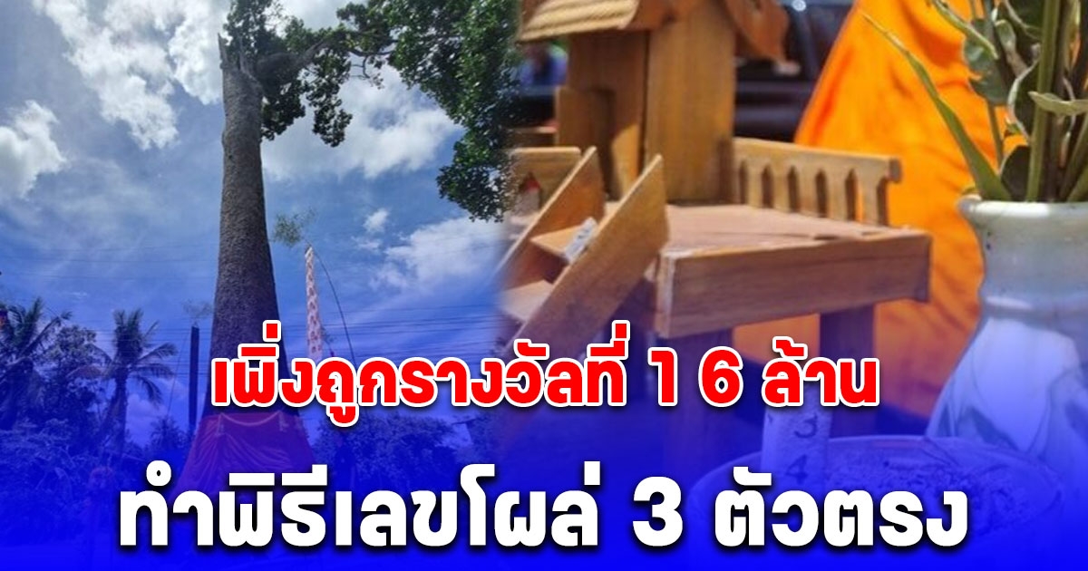 เศรษฐีใหม่ ถูกรางวัลที่ 1 ทำพิธี บวชต้นยางยักษ์ อายุกว่า 1,000 ปี 7 คนโอบ ไม่พลาดส่องเลขโผล่ 3 ตัวตรง