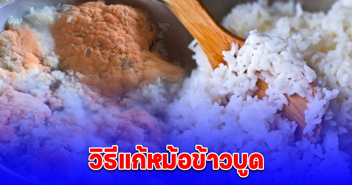 วิธีแก้หม้อข้าวบูด หมดเรื่องกวนใจ ข้าวอร่อยเหมือนเดิม