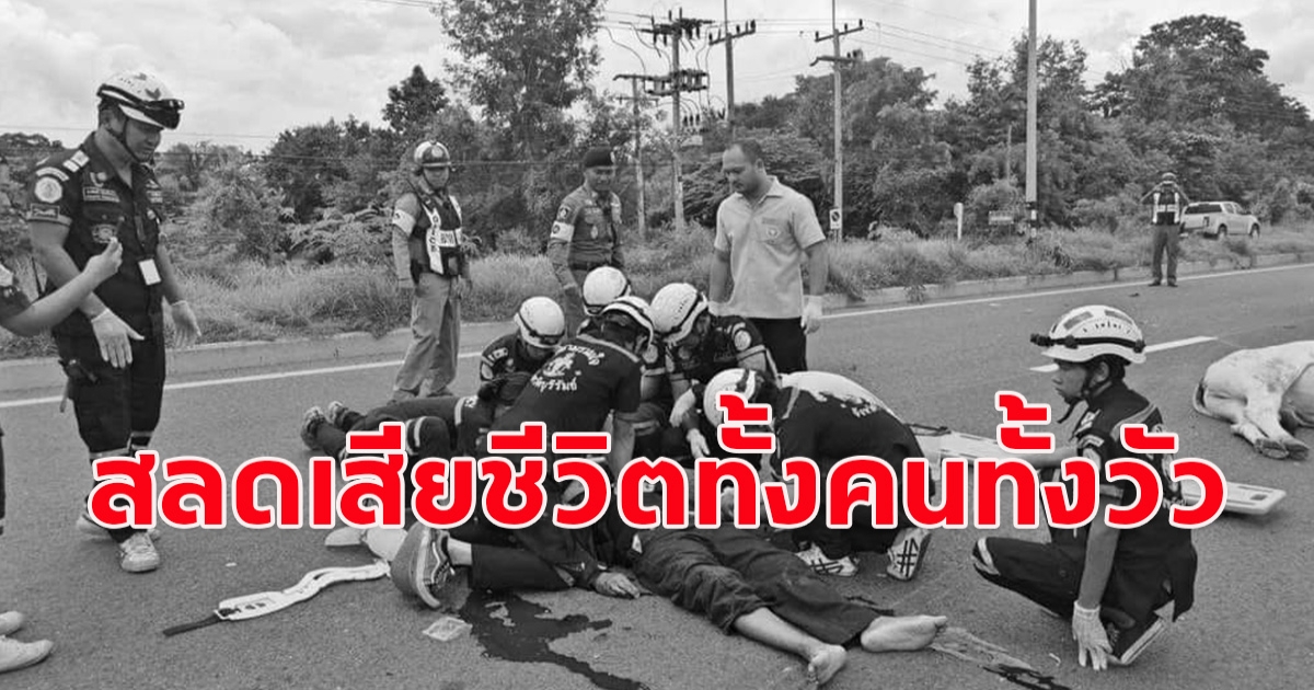 สุดเศร้า ลุงขับบิ๊กไบค์ชนวัวข้ามถนน เสียชีวิตทั้งคนและวัว