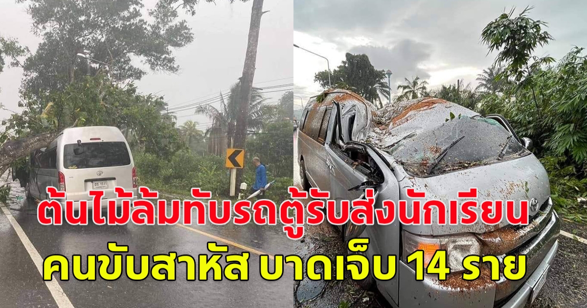 อุบัติเหตุลมแรงพัดต้นไม้ใหญ่โค่นลงมาทับรถตู้รับส่งเด็กนักเรียน คนขับสาหัส นักเรียนบาดเจ็บ14 ราย