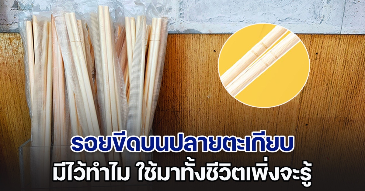 เฉลยแล้ว! รอยขีดบนปลายตะเกียบ มีไว้ทำไม ใช้มาทั้งชีวิตเพิ่งจะรู้