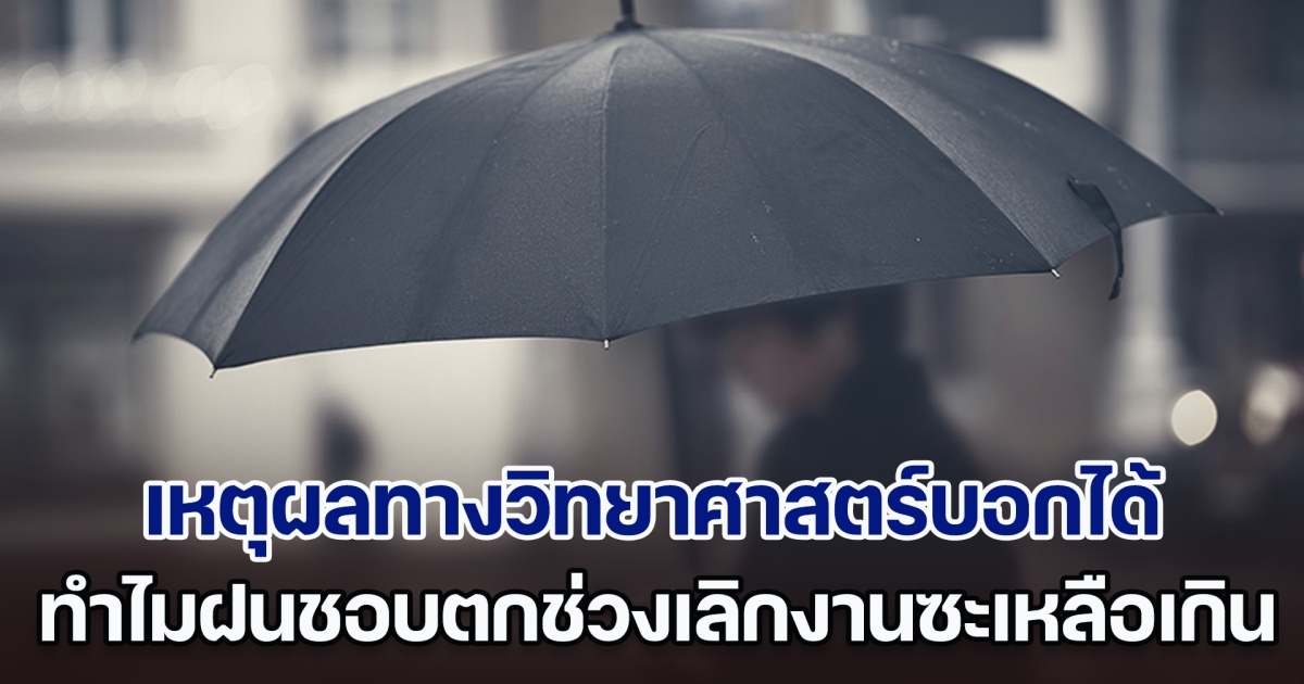 เฉลยแล้ว! เหตุผลทางวิทยาศาสตร์บอกได้ ทำไมฝนชอบตกช่วงเลิกงานตลอด