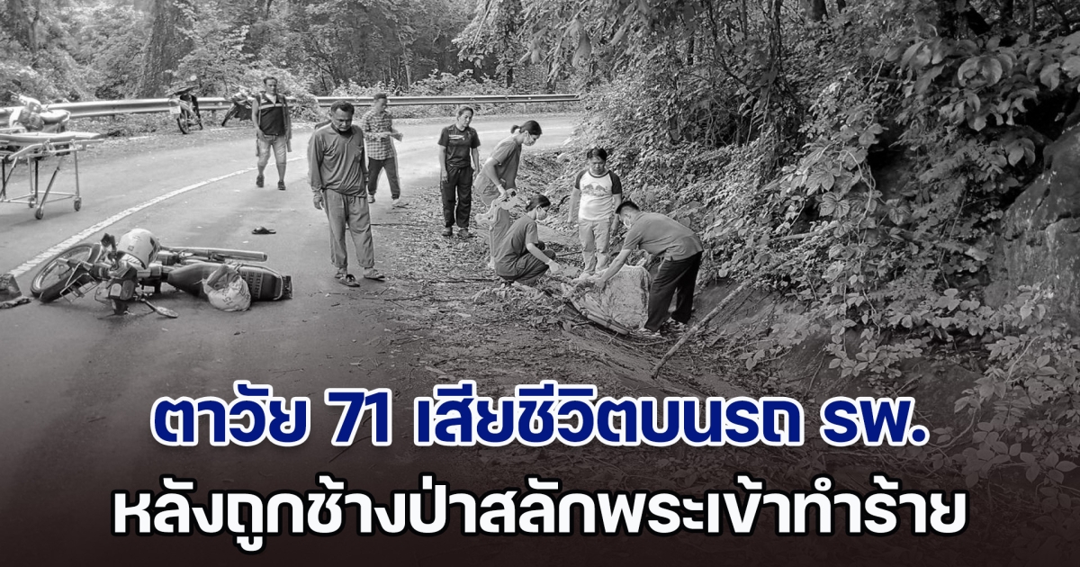 ยื้อไม่ไหว คุณตาวัย 71 เสียชีวิตบนรถ รพ. หลังถูกช้างป่าสลักพระเข้าทำร้าย