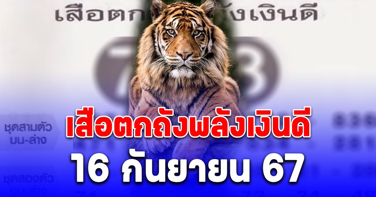 เซฟเก็บไว้เลย แนวทางจาก เสือตกถังพลังเงินดี 16 กันยายน 67