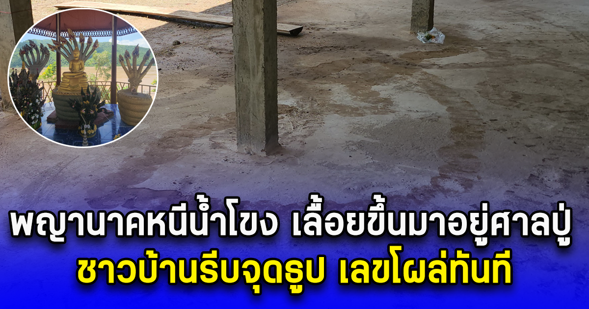 ชาวบ้านรีบจุดธูป เลขโผล่ทันที พญานาคหนีน้ำโขง เลื้อยขึ้นมาอยู่ศาลปู่ 16 ก.ย. 67