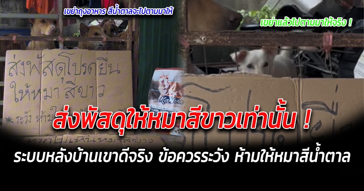 ส่งพัสดุให้หมาสีขาวเท่านั้น ระบบหลังบ้านดีมาก ข้อควรระวัง ห้ามให้หมาสีน้ำตาล