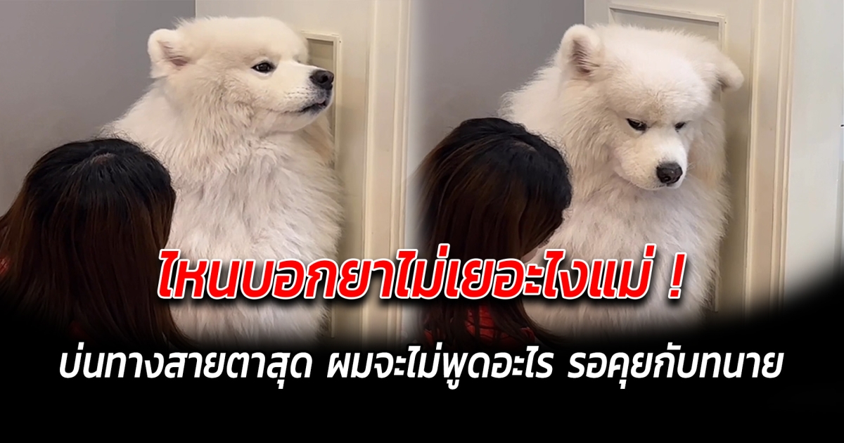 ไหนบอกยาไม่เยอะไงแม่ บ่นทางสายตาสุด ผมจะไม่พูดอะไร รอคุยกับทนาย