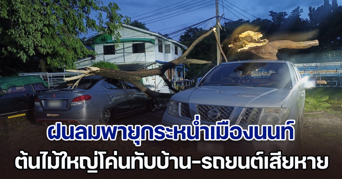 ฝนลมพายุกระหน่ำเมืองนนท์ ต้นไม้ใหญ่โค่นทับบ้าน-รถยนต์เสียหาย