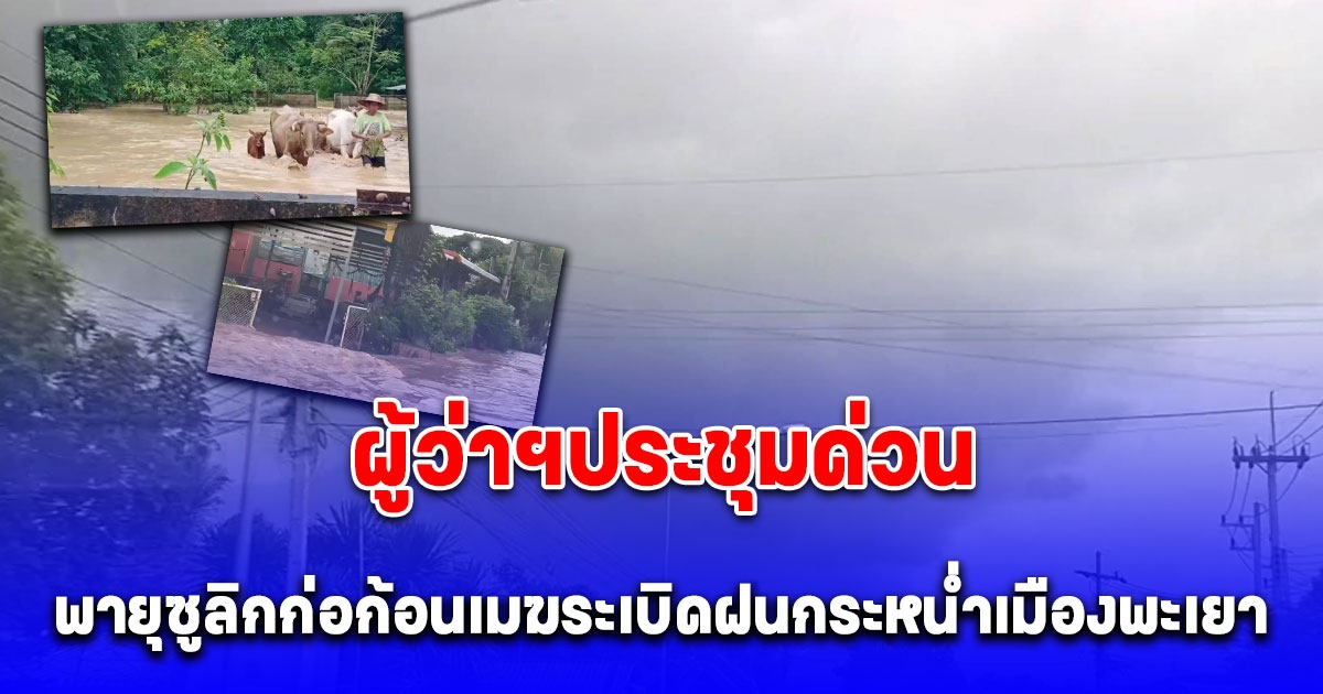 พายุซูลิกก่อก้อนเมฆระเบิดฝนกระหน่ำเมืองพะเยา ชาวบ้าน วัวควายหนี ผู้ว่าฯประชุมด่วน