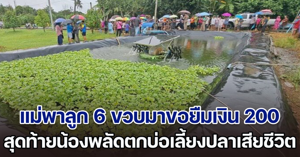 ไม่มีเงินซื้อนม แม่พาลูกสาว 6 ขวบซ้อนท้ายมาขอยืมเงิน 200 สุดท้ายน้องพลัดตกบ่อเลี้ยงปลาเสียชีวิต