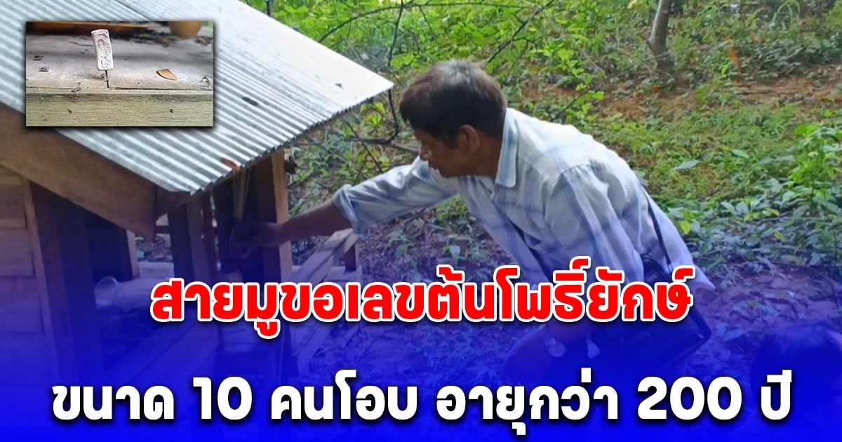 สายมูขอเลขต้นโพธิ์ยักษ์ขนาด 10 คนโอบ อายุกว่า 200 ปี