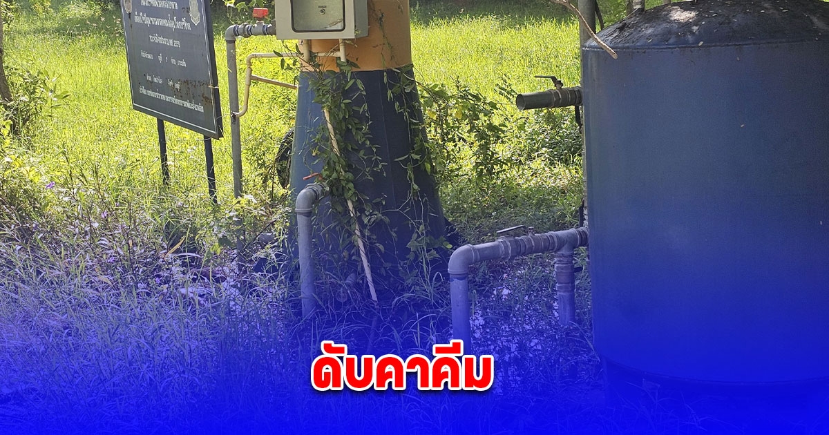 หนุ่มใหญ่ ย่องขโมยตัดสายไฟประปาหมู่บ้าน สุดท้ายดับคาคีม