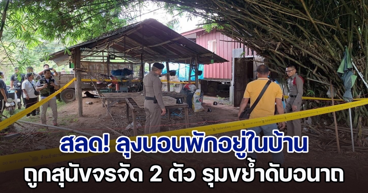 สุดสลด! ลุงนอนพักอยู่ในบ้าน ถูกสุนัขจรจัด 2 ตัว จู่โจม รุมขย้ำดับอนาถ