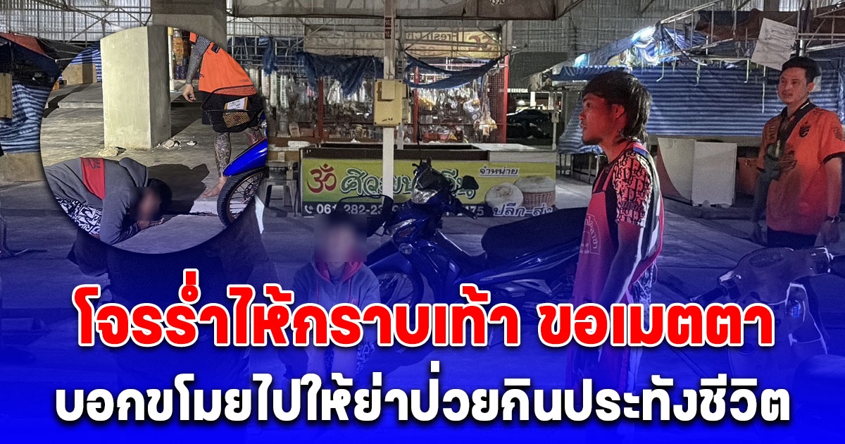 เจ้าของร้านดักซุ่มจับโจรลักไข่ไก่ ร่ำไห้กราบเท้า ขอเมตตา ยกโทษ อ้างขโมยไปให้ย่าป่วยกินประทังชีวิต