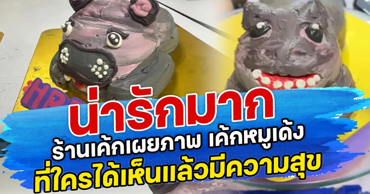 น่ารักมาก ร้านเค้กเผยภาพ เค้กหมูเด้ง ที่ใครได้เห็นแล้วมีความสุขอย่างมาก