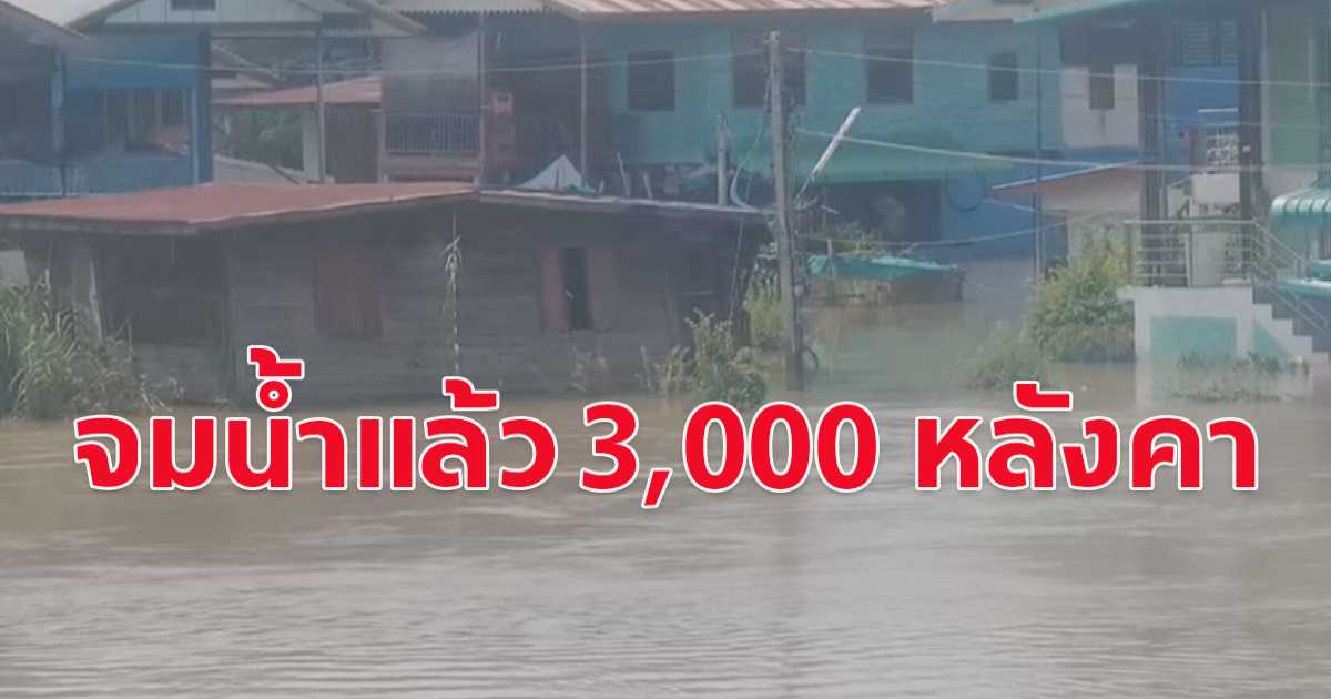 จมน้ำแล้วกว่า 3,000 หลังคาเรือน พิจิตรอ่วม น้ำยมเพิ่มสูง หลากท่วมชุมชน