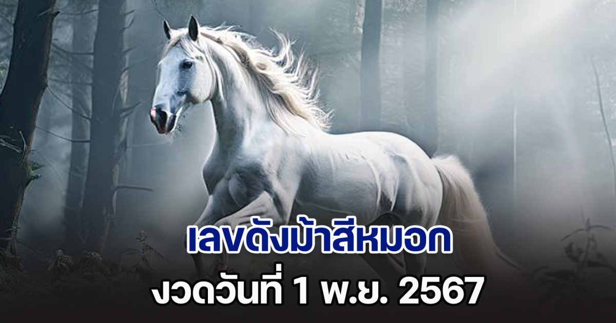 ควบมาไวมาก เลขดังม้าสีหมอก ประจำวันที่ 1 พ.ย. 67