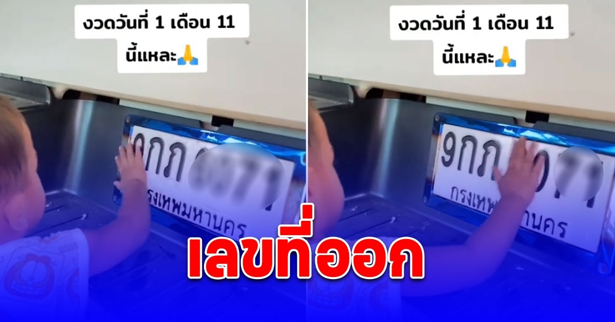 คนแห่ดู 2.5 ล้าน นุ่มน้อยเดินไปจิ้มป้ายทะเบียนรถ พูดคำเดิมซ้ำๆ เลขที่ออก